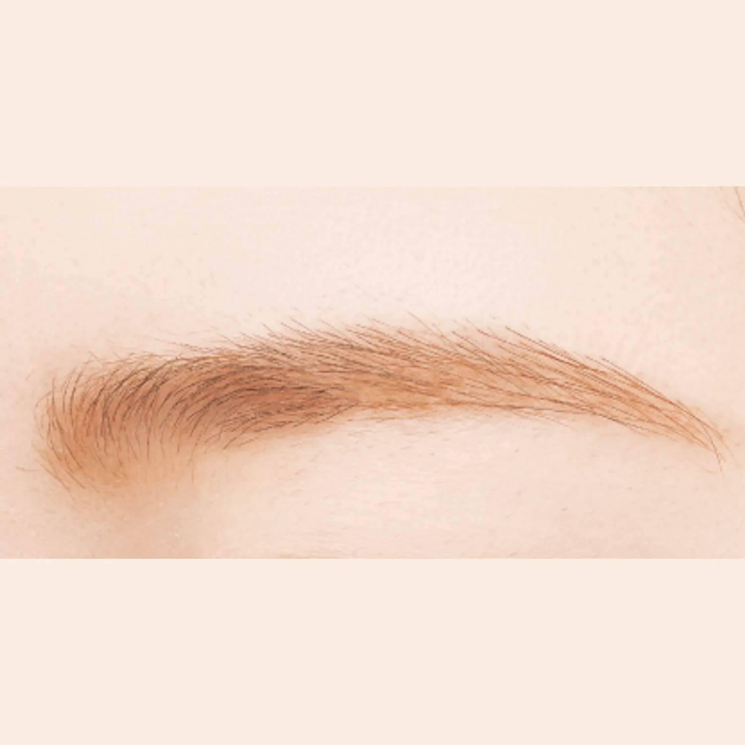 Canmake Fit Styler Eyebrow - Image 5