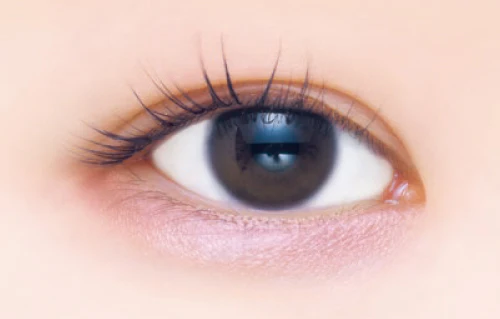 Canmake Plumpuku Coordinate Eyes - Image 10