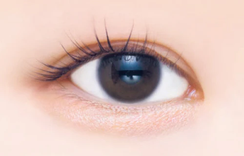 Canmake Plumpuku Coordinate Eyes - Image 2