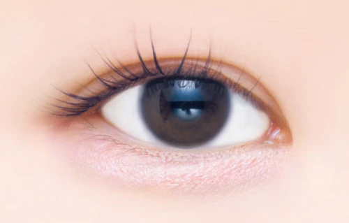 Canmake Plumpuku Coordinate Eyes - Image 4