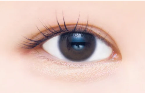 Canmake Plumpuku Coordinate Eyes - Image 6
