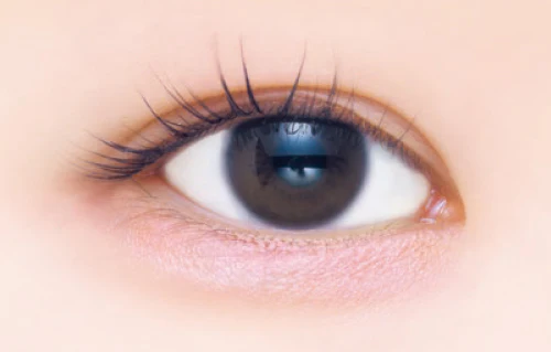 Canmake Plumpuku Coordinate Eyes - Image 8