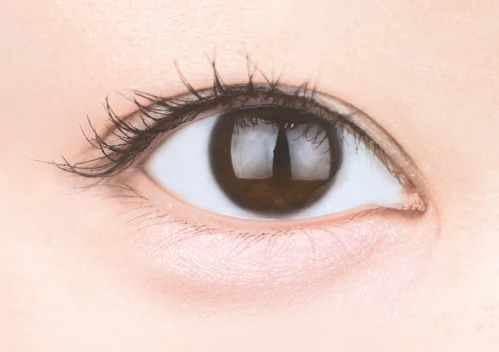 Canmake Plumpuku Coordinate Eyes Neo - Image 2