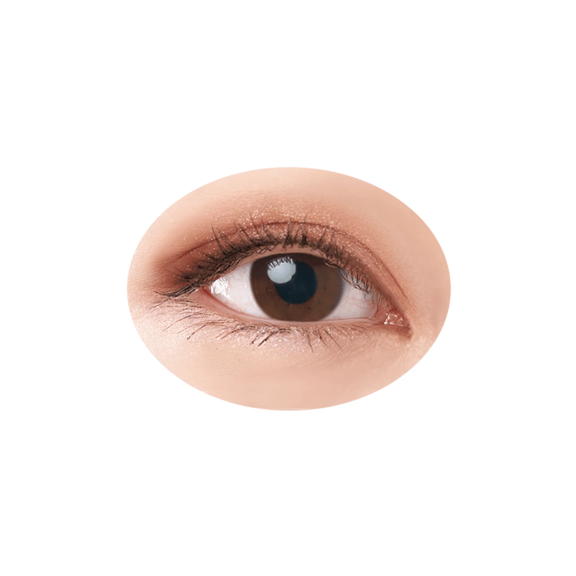 Cezanne Beige Tone Eyeshadow - Image 4
