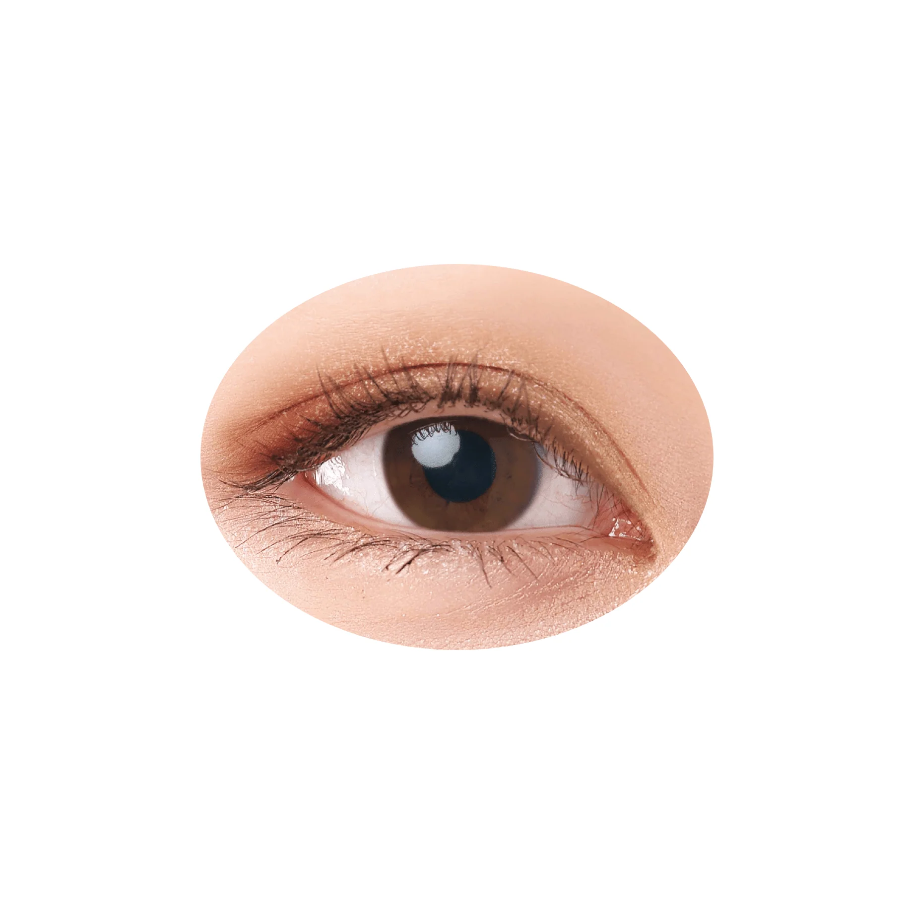 Cezanne Beige Tone Eyeshadow - Image 6