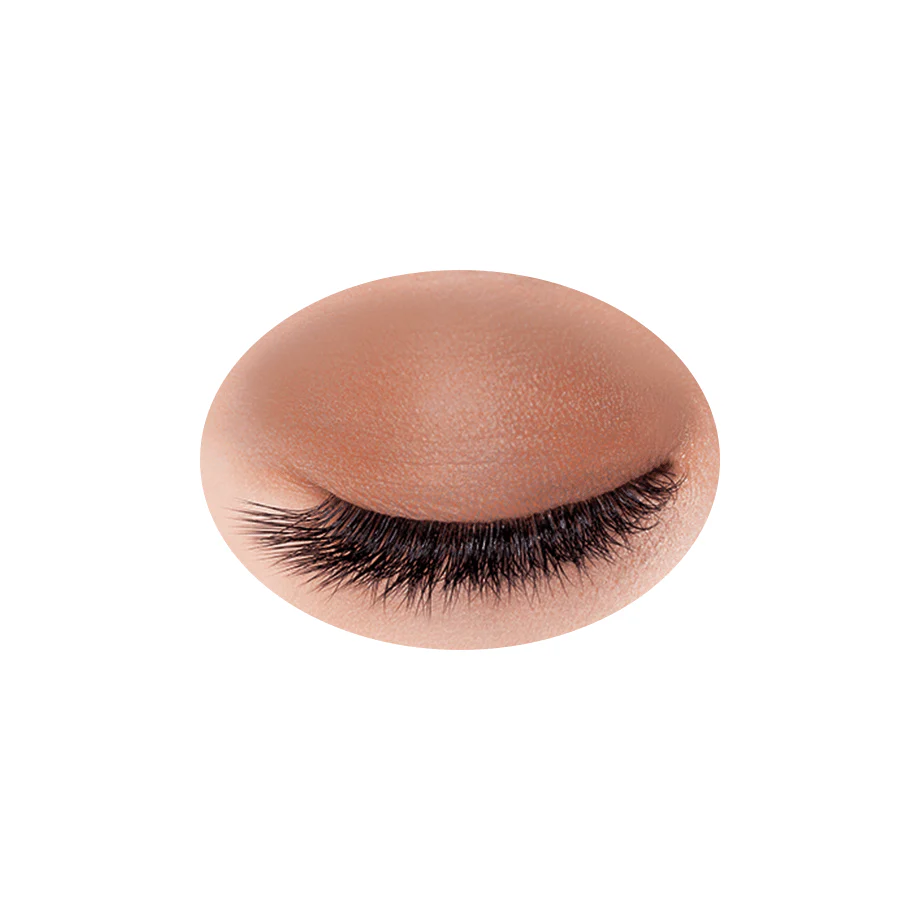 Cezanne Single Color Eyeshadow - Image 12