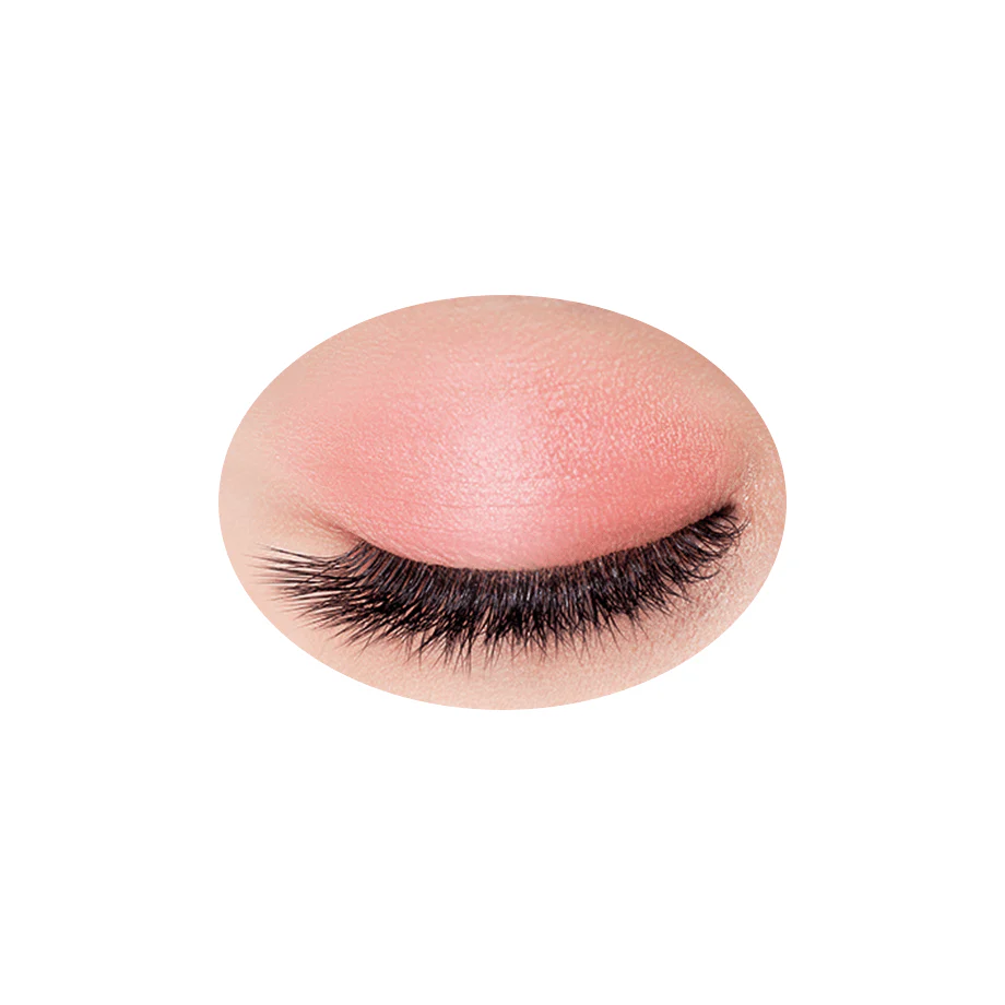 Cezanne Single Color Eyeshadow - Image 16
