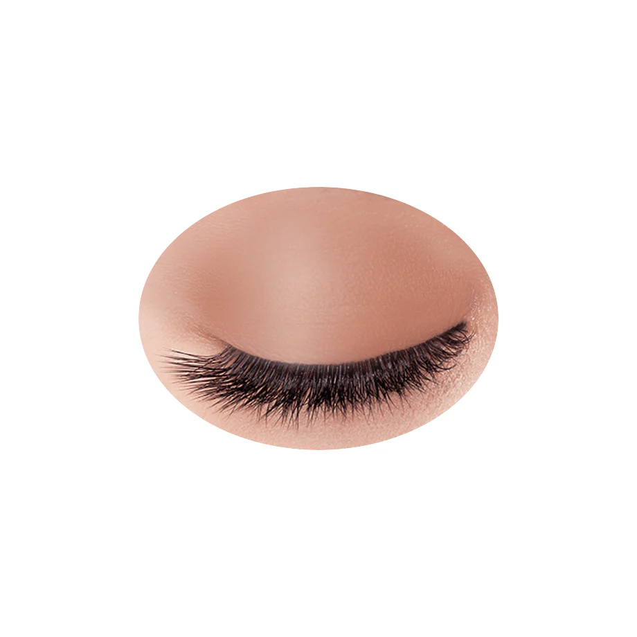 Cezanne Single Color Eyeshadow - Image 18