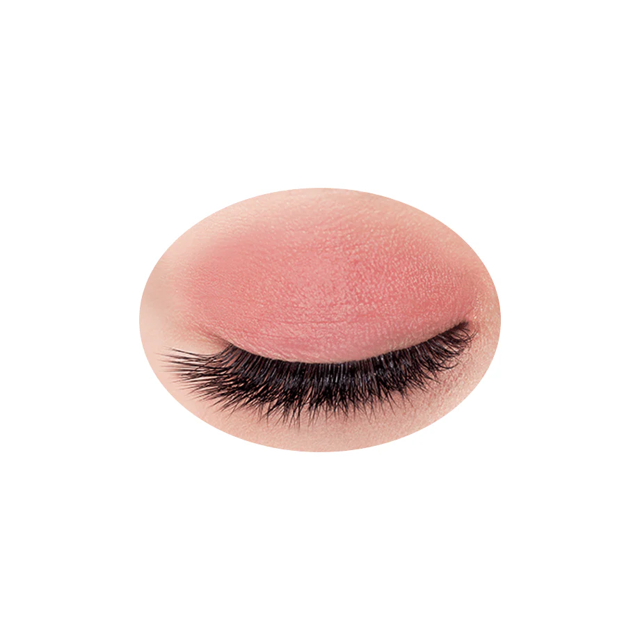 Cezanne Single Color Eyeshadow - Image 6