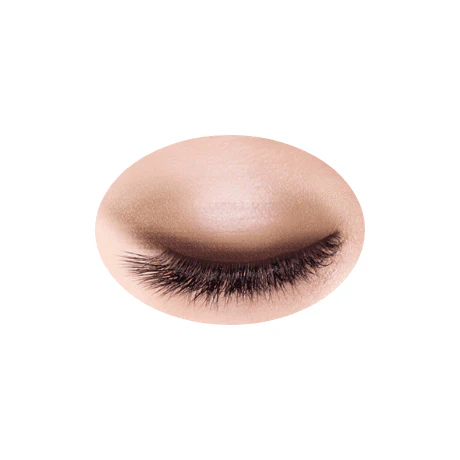 Cezanne Tone-up Eyeshadow - Image 12