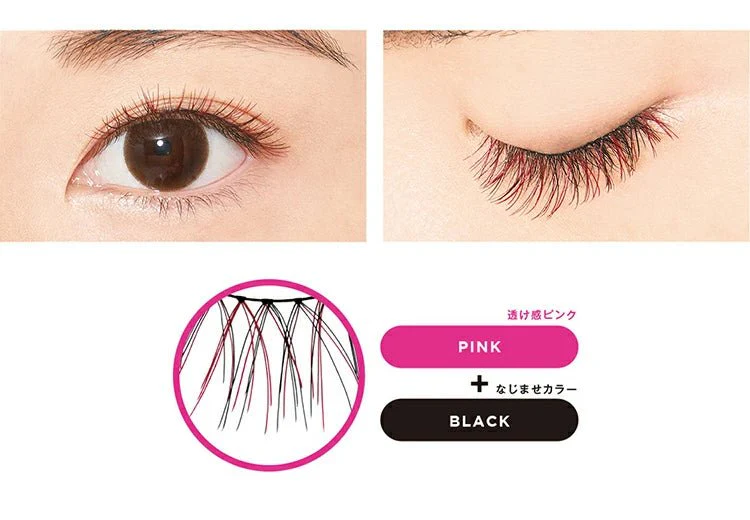 D-UP Color Lash - Image 2