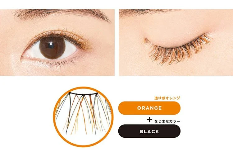 D-UP Color Lash - Image 4