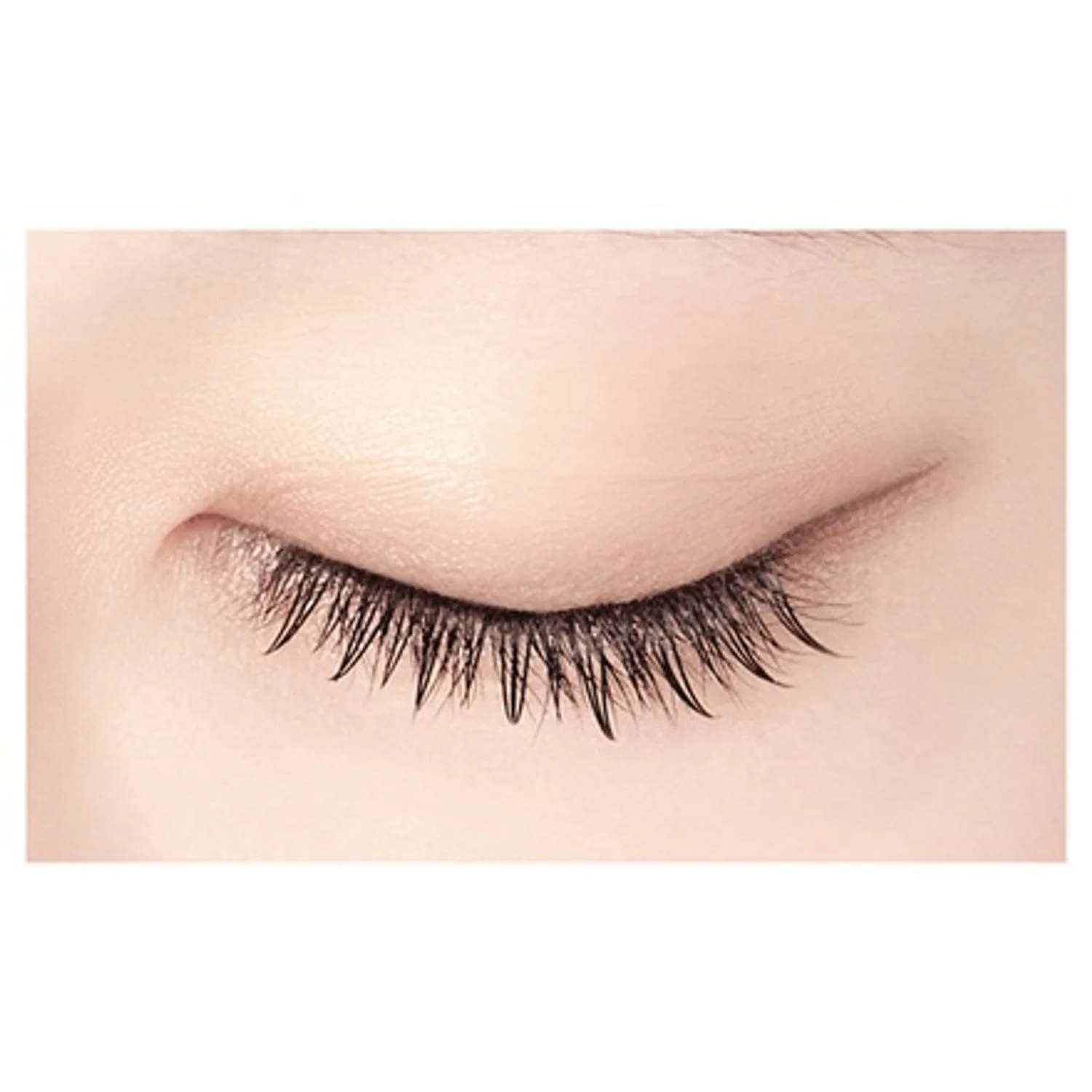 D-UP Lash Focus - Image 11