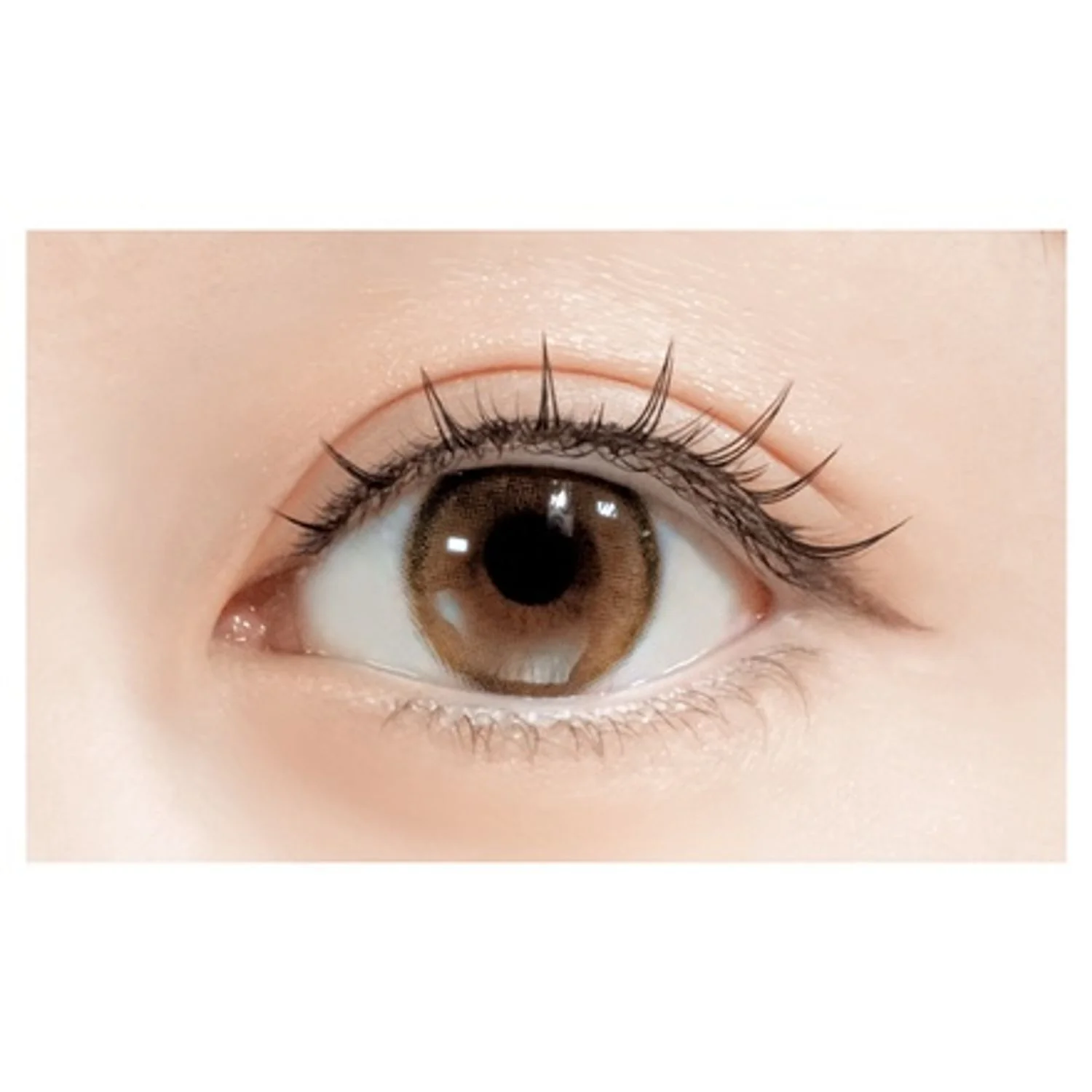 D-UP Lash Focus - Image 12