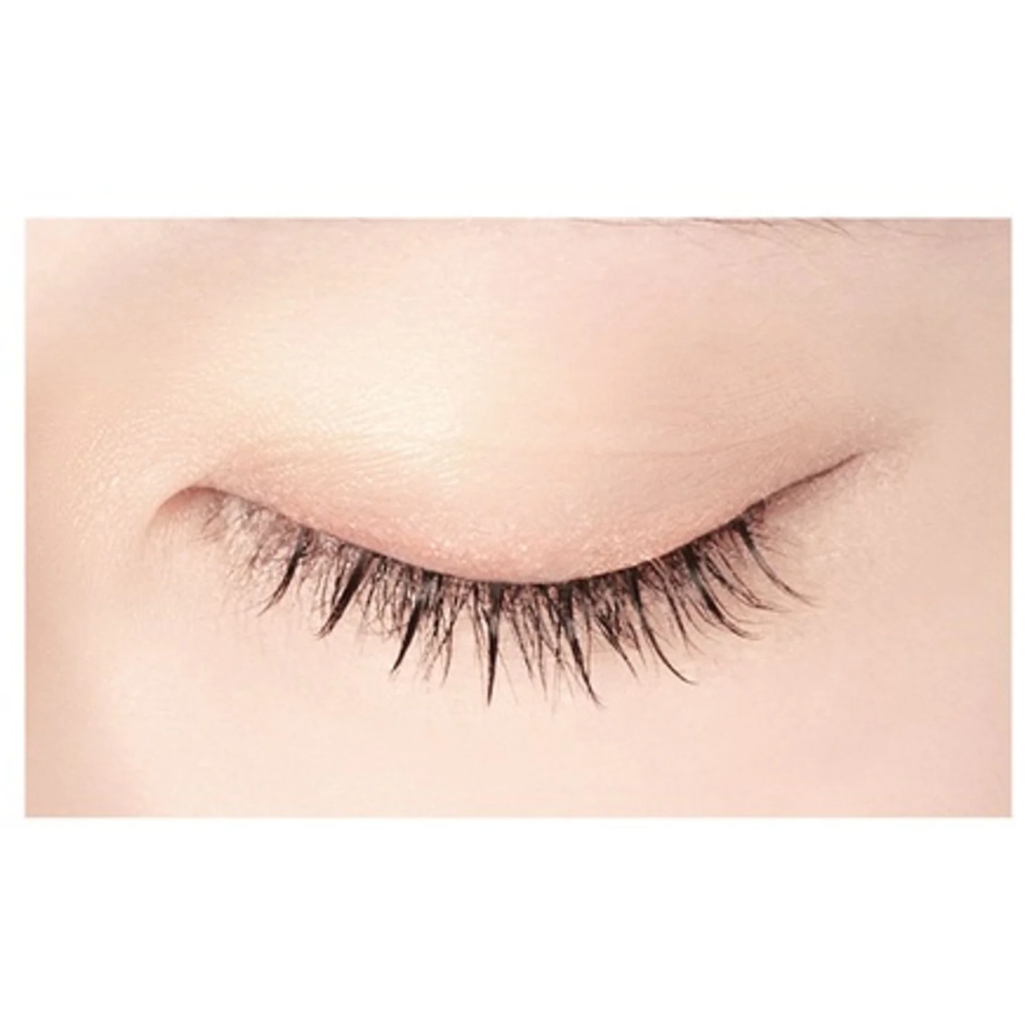 D-UP Lash Focus - Image 14