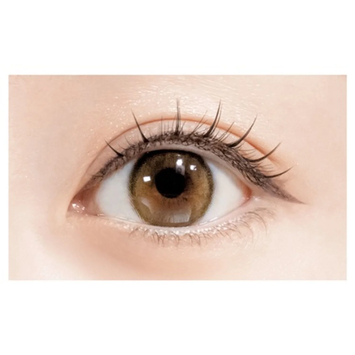 D-UP Lash Focus - Image 15