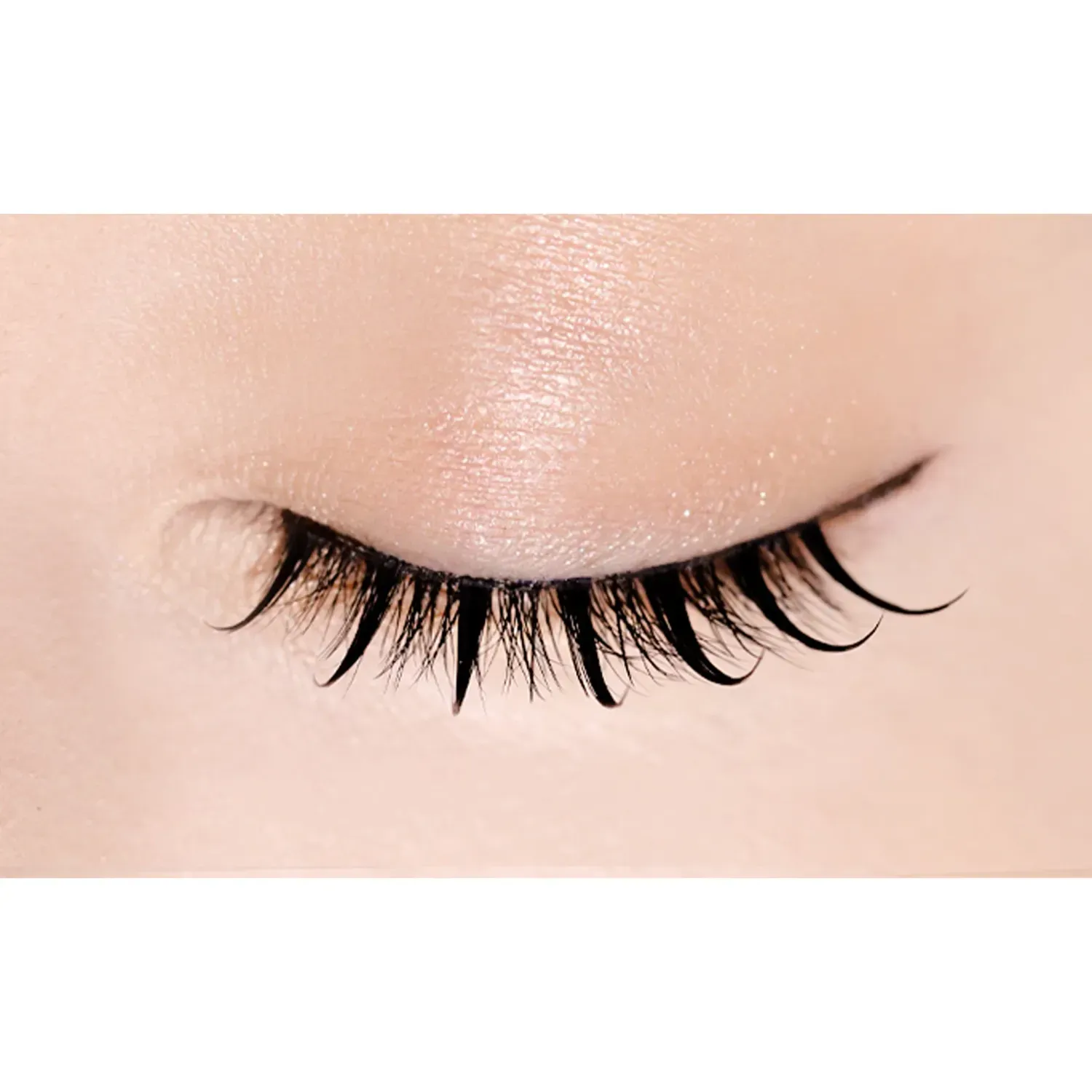 D-UP Lash Focus - Image 29