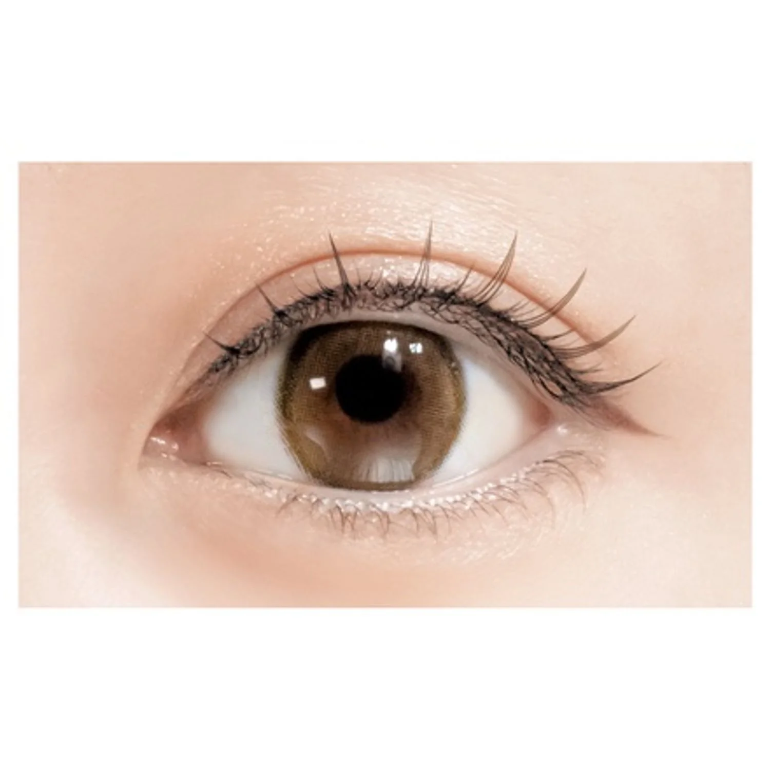 D-UP Lash Focus - Image 3