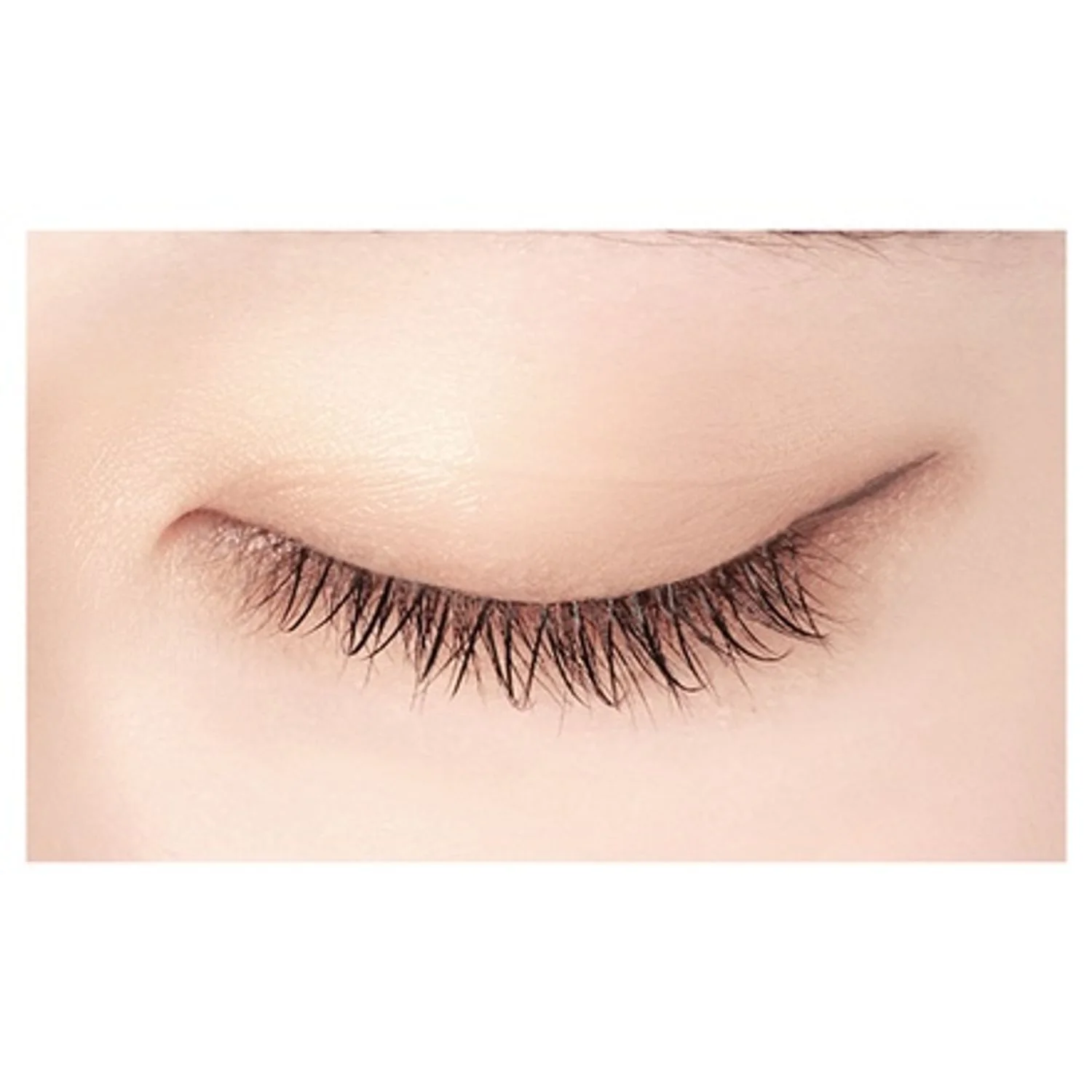 D-UP Lash Focus - Image 5
