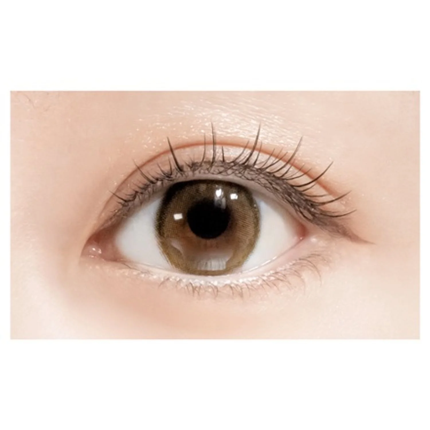D-UP Lash Focus - Image 6