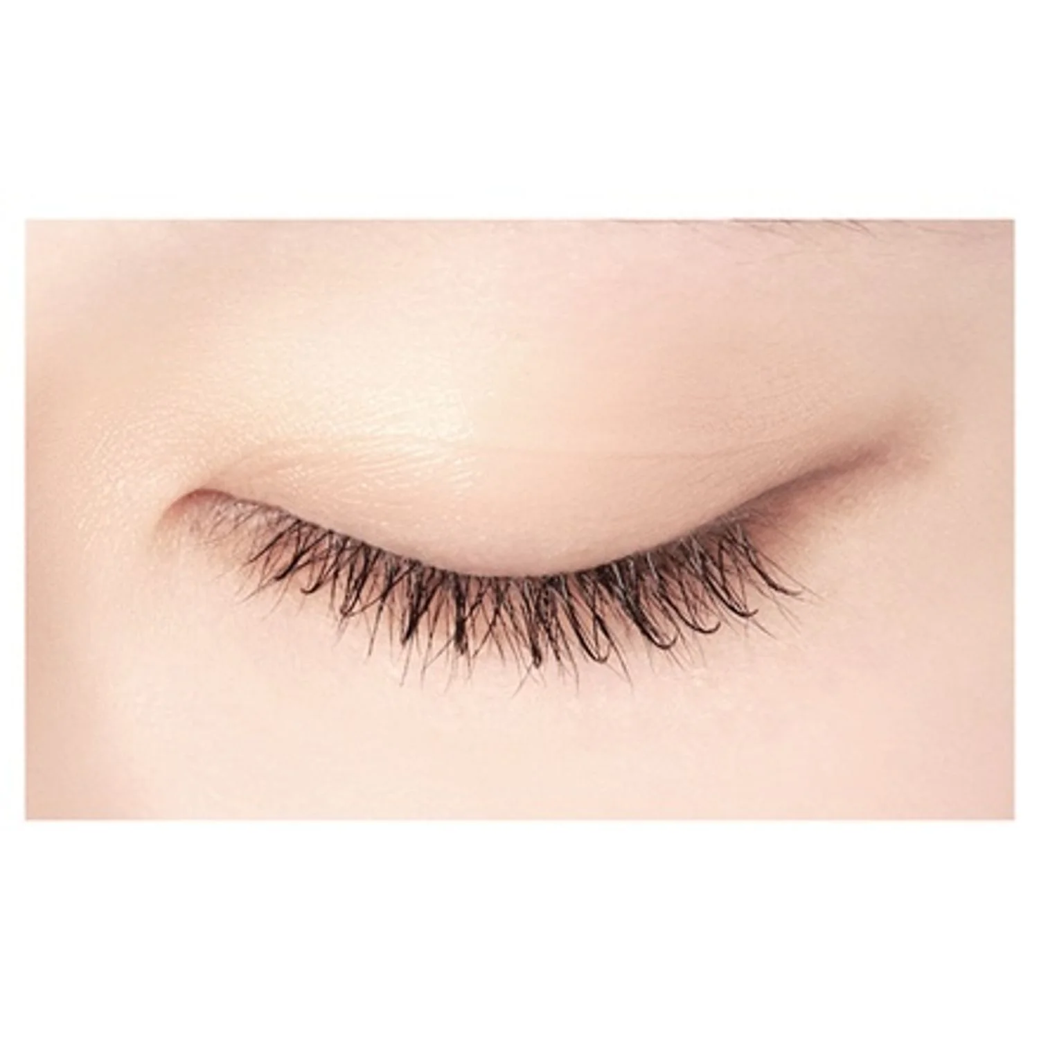 D-UP Lash Focus - Image 8