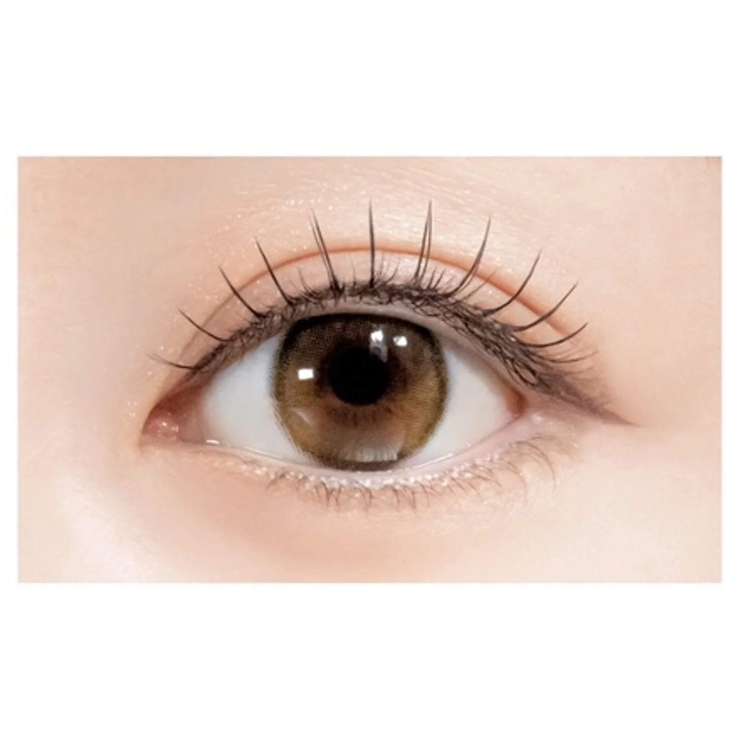 D-UP Lash Focus - Image 9