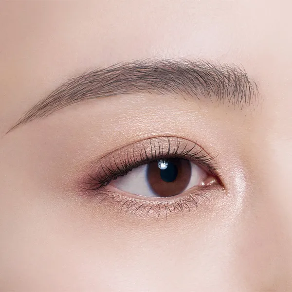 Decorte Skin Shadow Designing Palette - Image 16