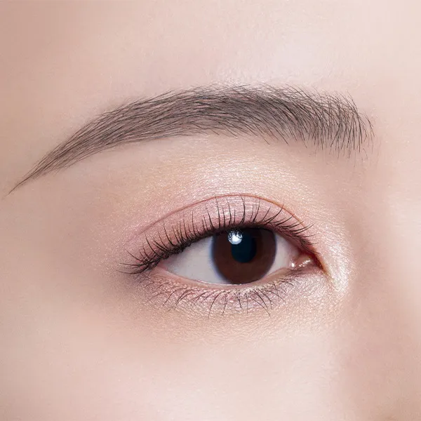 Decorte Skin Shadow Designing Palette - Image 36