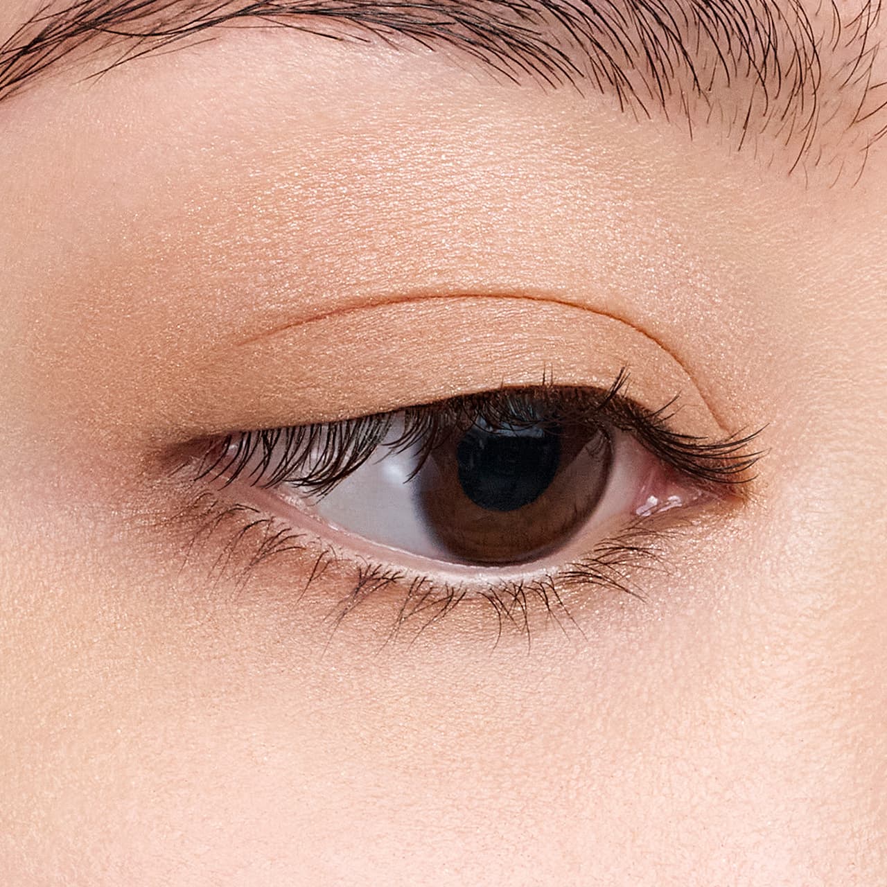 Elegance Harmony Eyes - Image 24