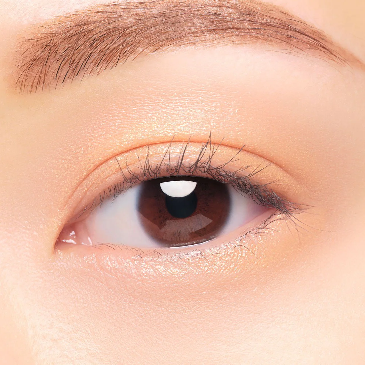 Elegance Rayon Jure Eyes N - Image 24