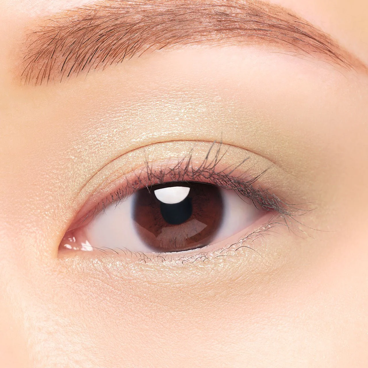Elegance Rayon Jure Eyes N - Image 26