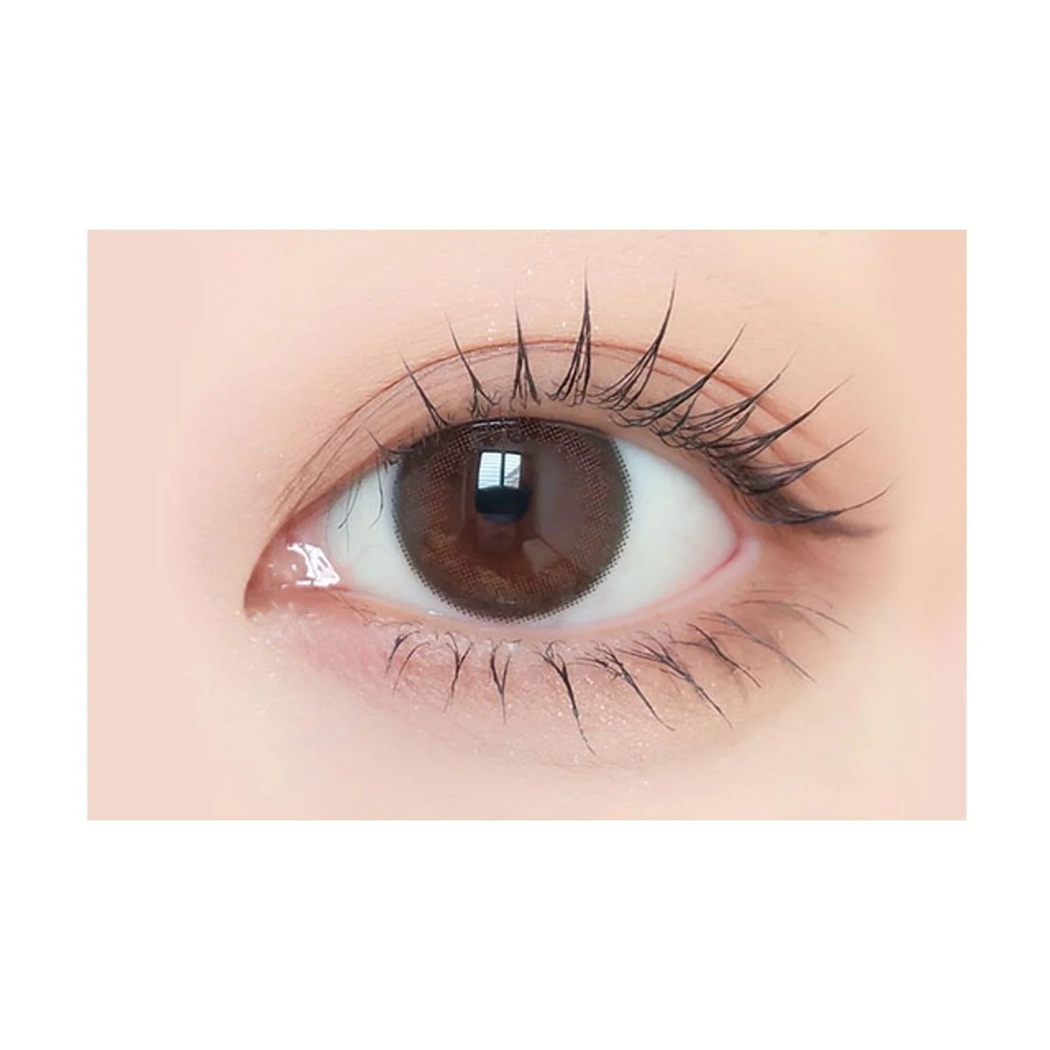 Envie UV One-Day Color Contact Lenses Maroon Black - Image 2