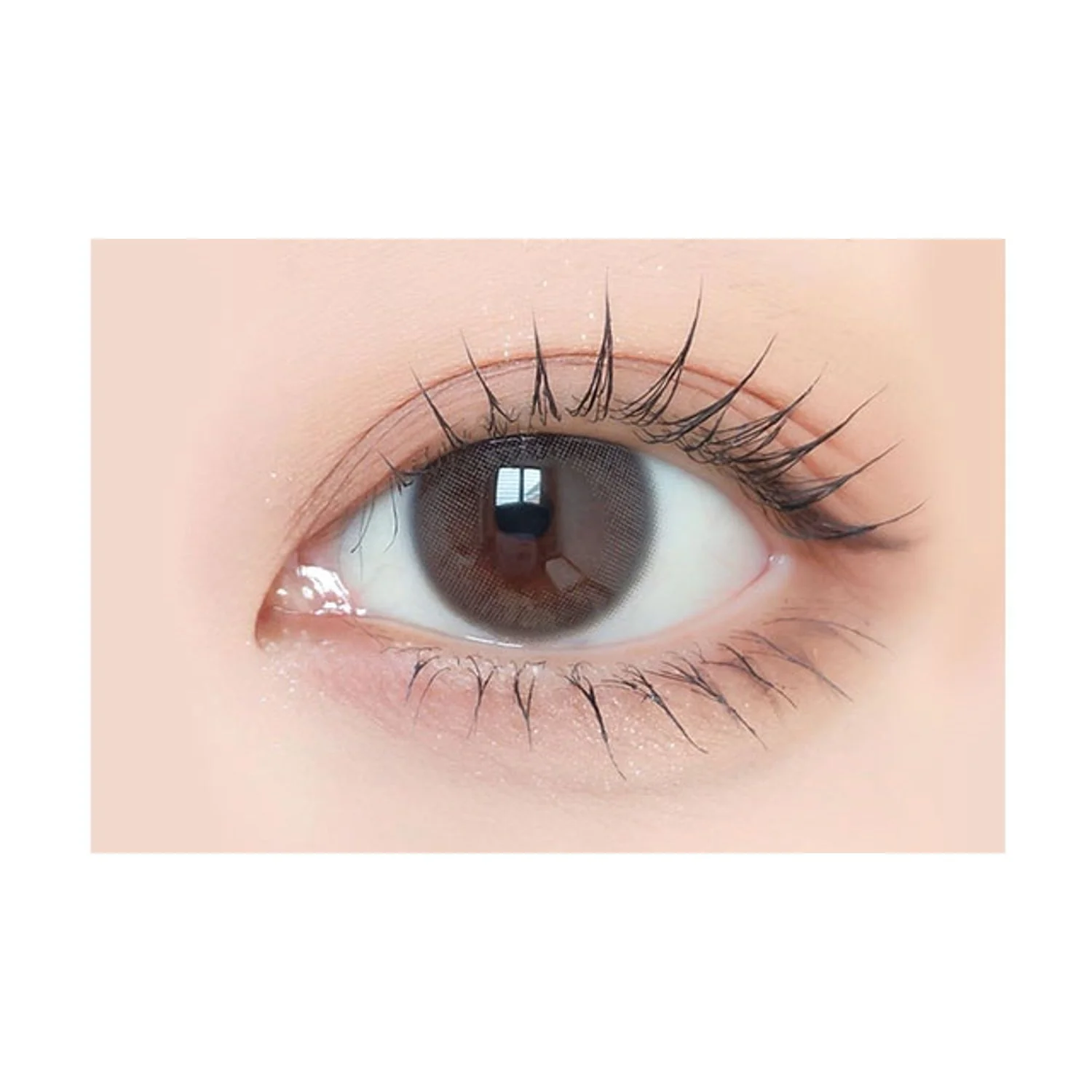 Envie UV One-Day Color Contact Lenses Melt Moist - Image 2