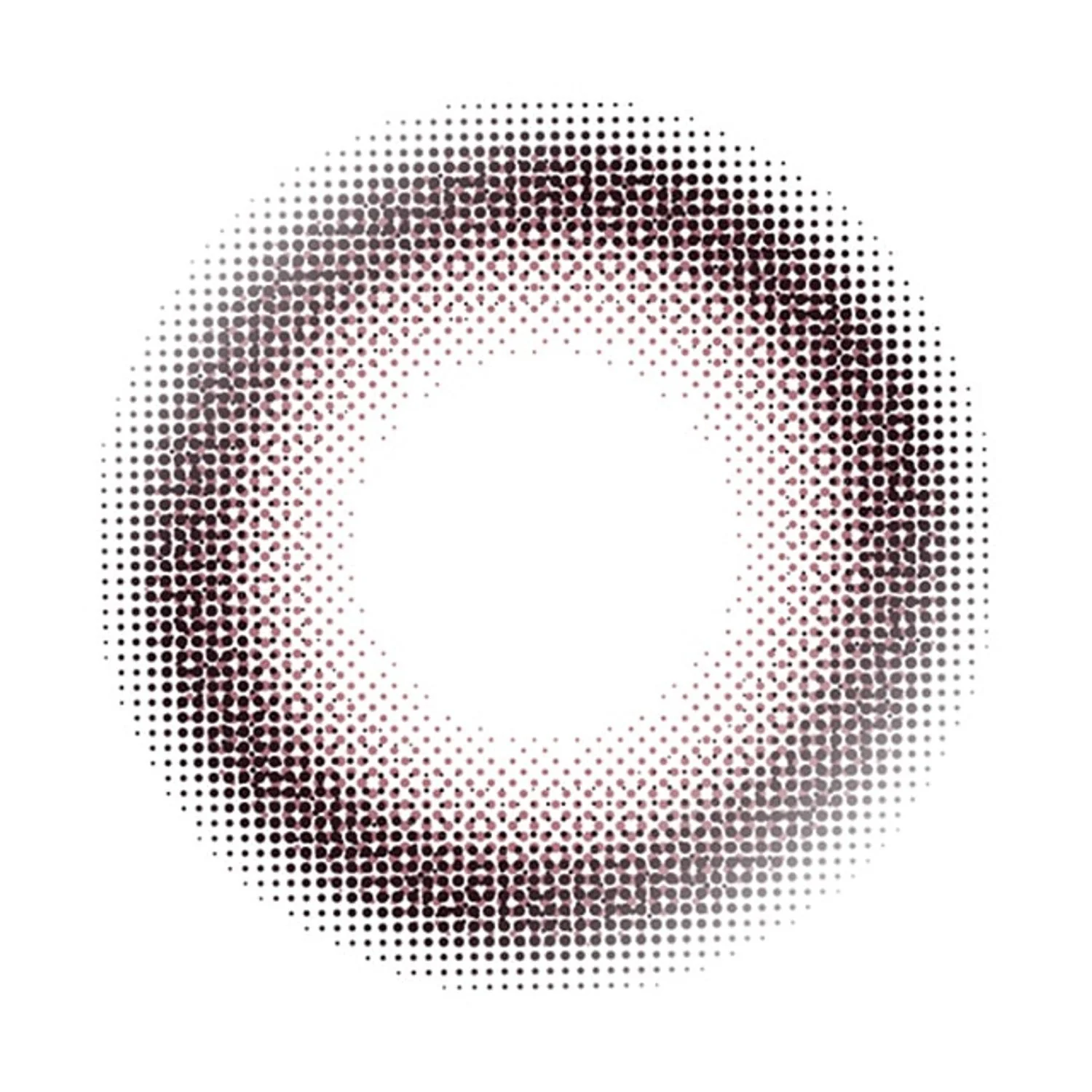Envie UV One-Day Color Contact Lenses Minuit Shell - Image 3