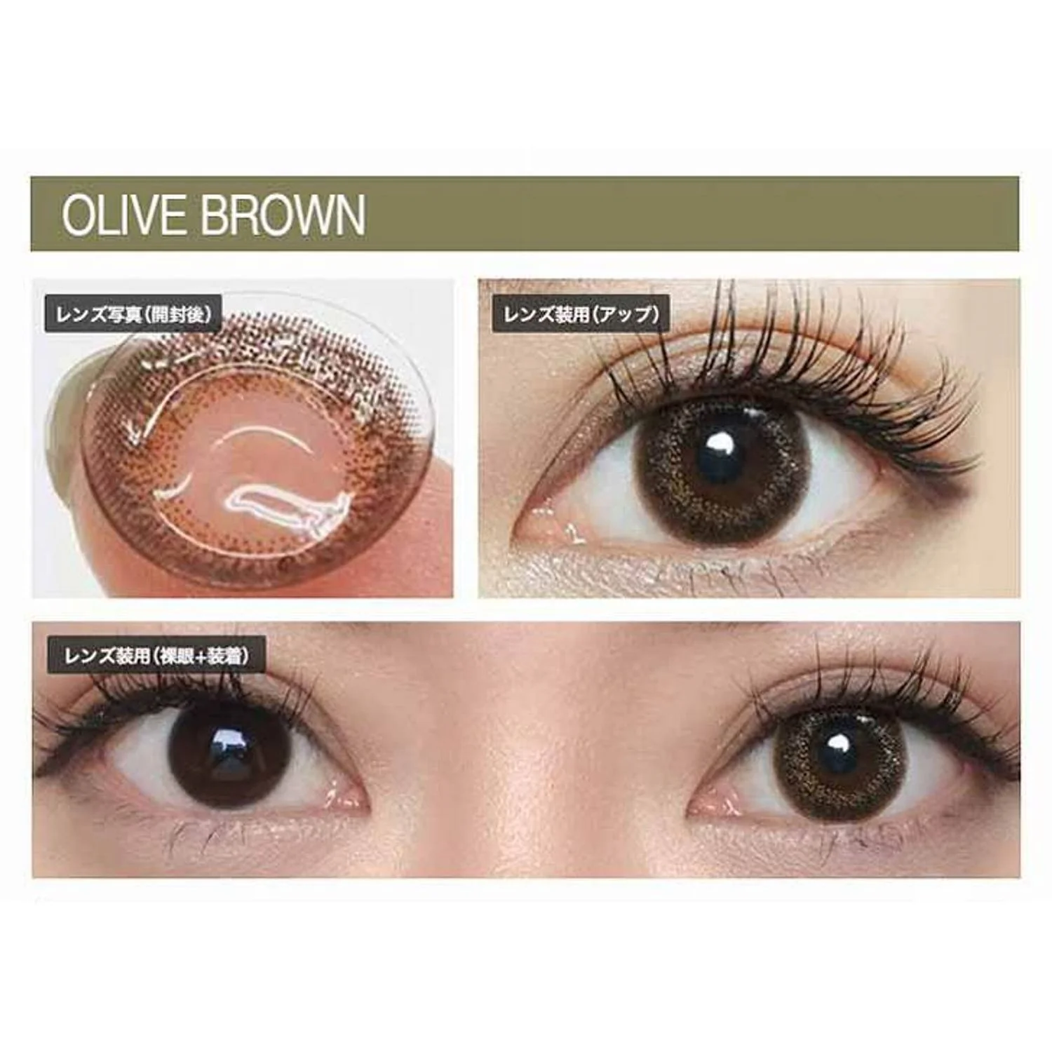 Envie UV One-Day Color Contact Lenses Olive Brown - Image 5