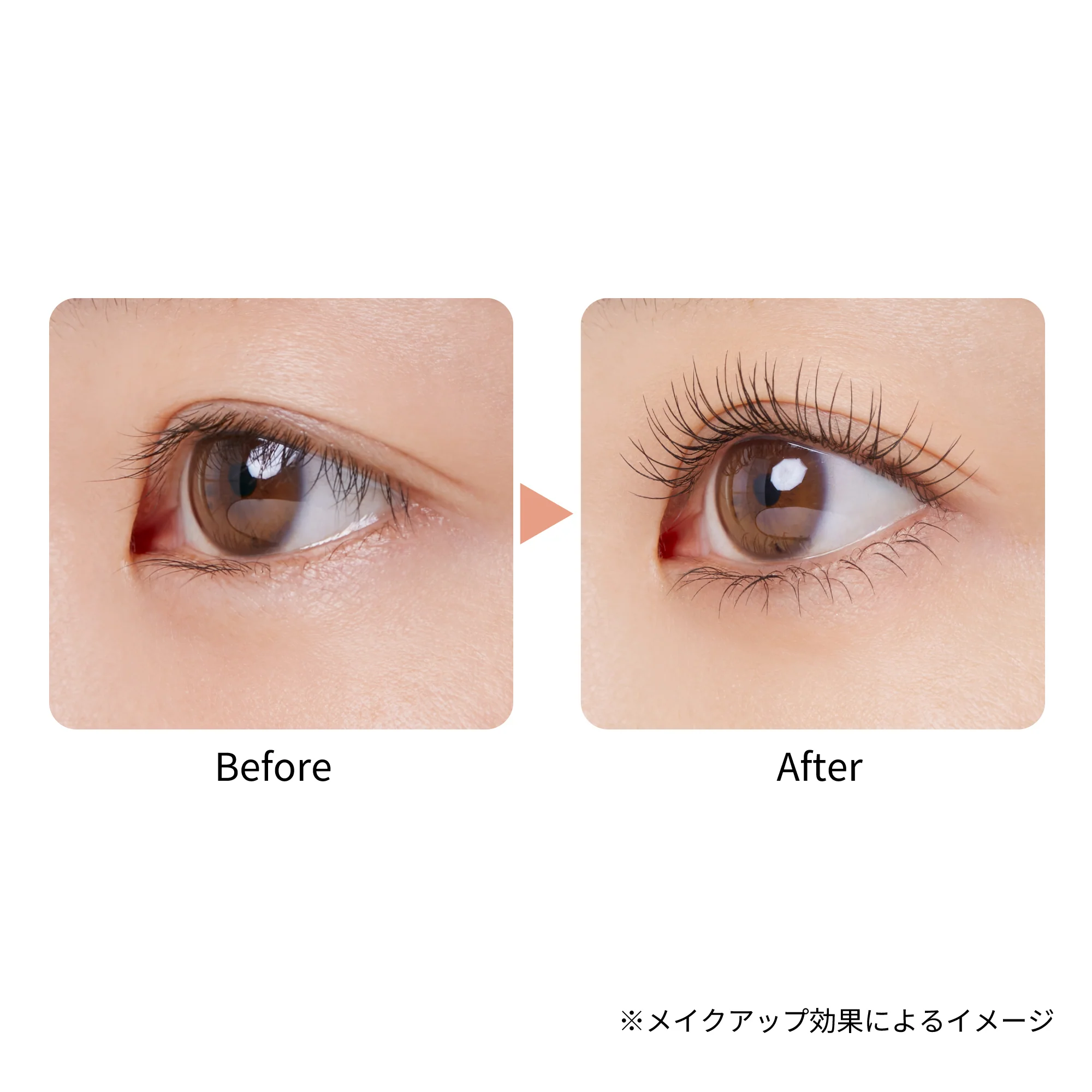 Ettusais Mascara Base Rich - Image 5