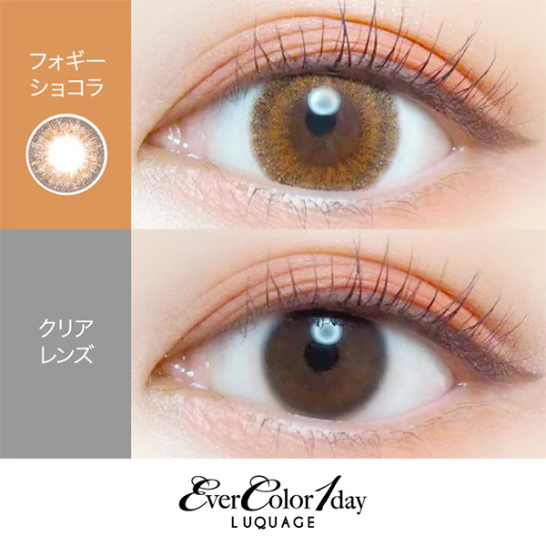 EverColor 1 Day Luquage Contact Lenses Foggy Chocolat - Image 3