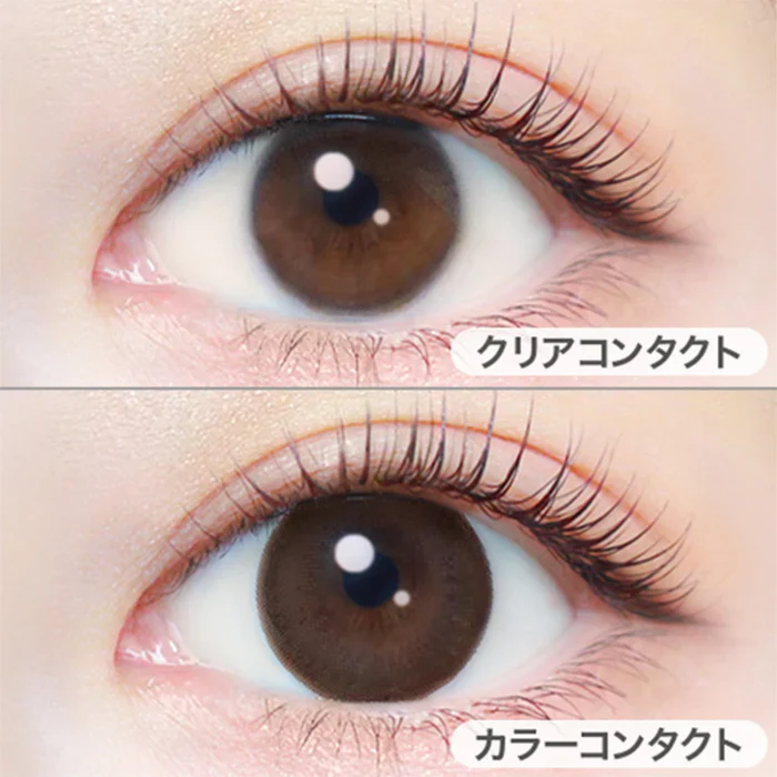 EverColor 1 Day Natural Contact Lenses Natural Brown - Image 2