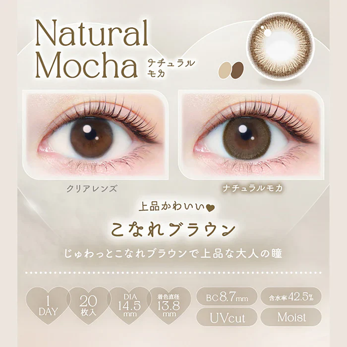 EverColor 1 Day Natural Contact Lenses Natural Mocha - Image 5