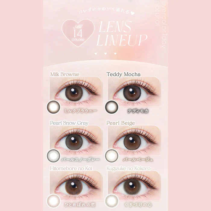 EverColor 1 Day Natural Contact Lenses Natural Mocha - Image 6