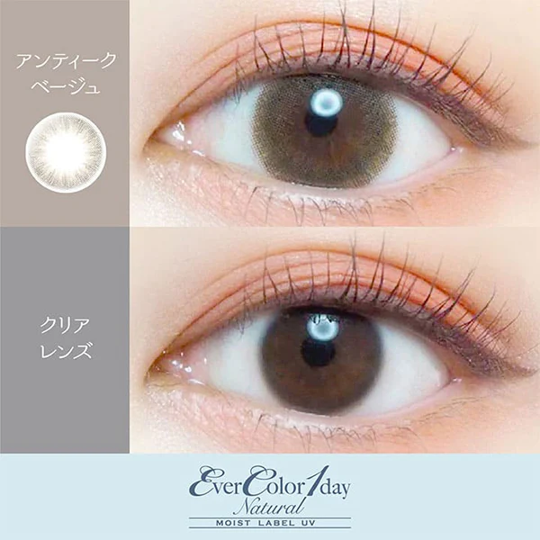 EverColor 1 Day Natural Moist Label UV Contact Lenses Antique Beige - Image 3
