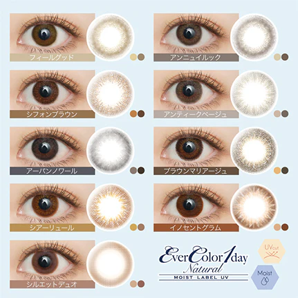 EverColor 1 Day Natural Moist Label UV Contact Lenses Antique Beige - Image 5