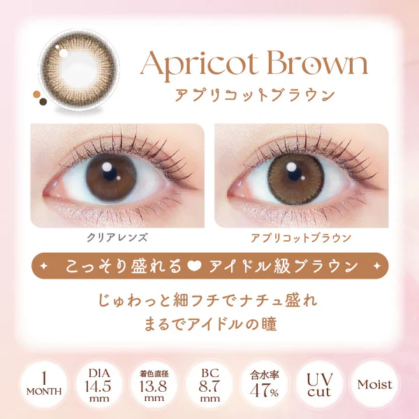 EverColor Monthly Contact Lenses Apricot Brown - Image 4