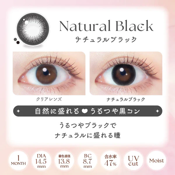 EverColor Monthly Contact Lenses Natural Black - Image 4