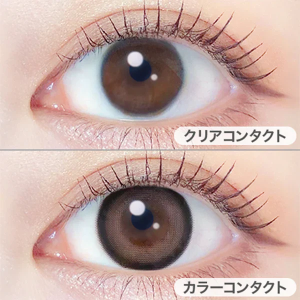 EverColor Monthly Contact Lenses Teddy Mocha - Image 2