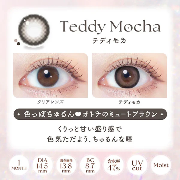 EverColor Monthly Contact Lenses Teddy Mocha - Image 4