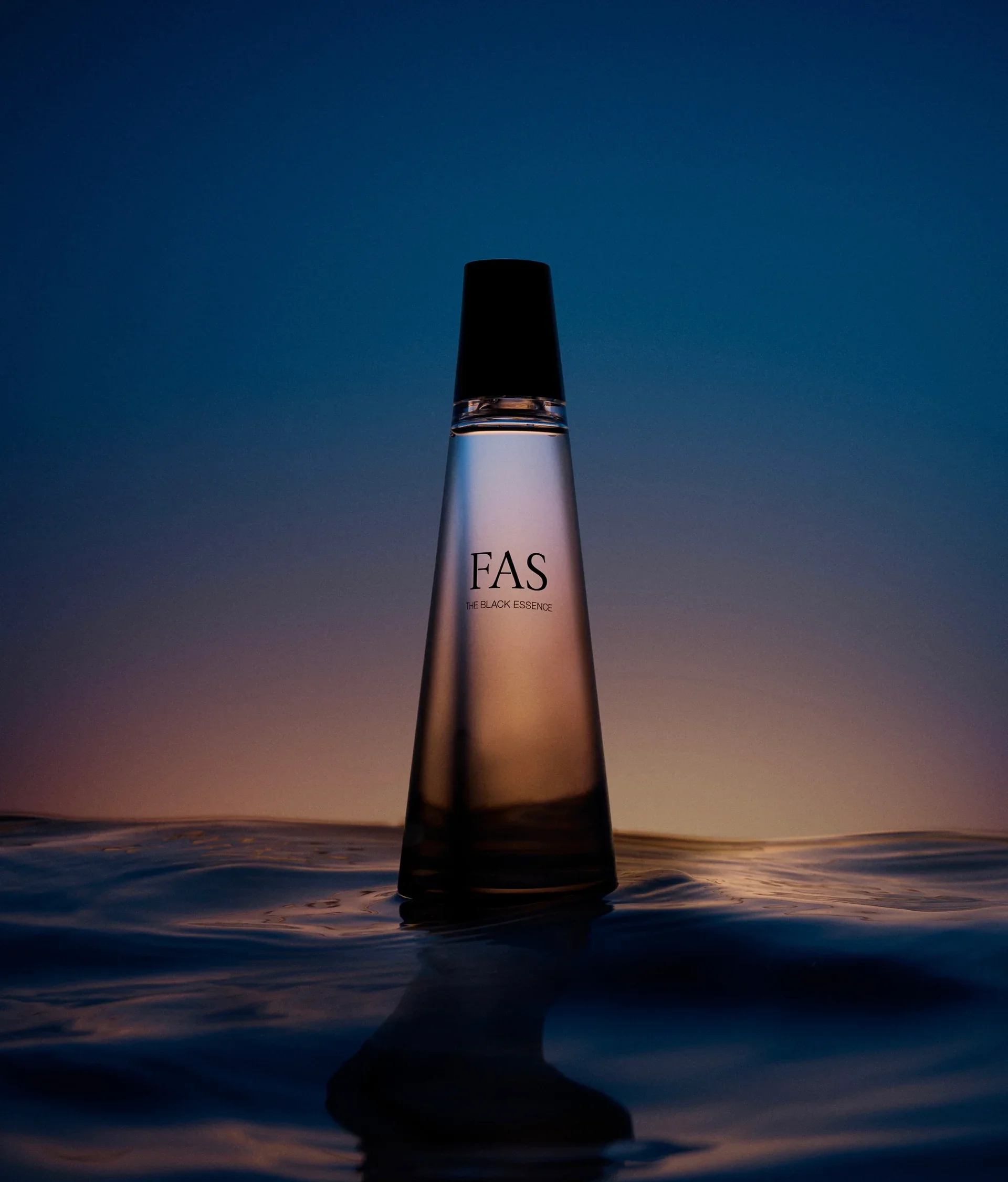 FAS The Black Essence - Image 2