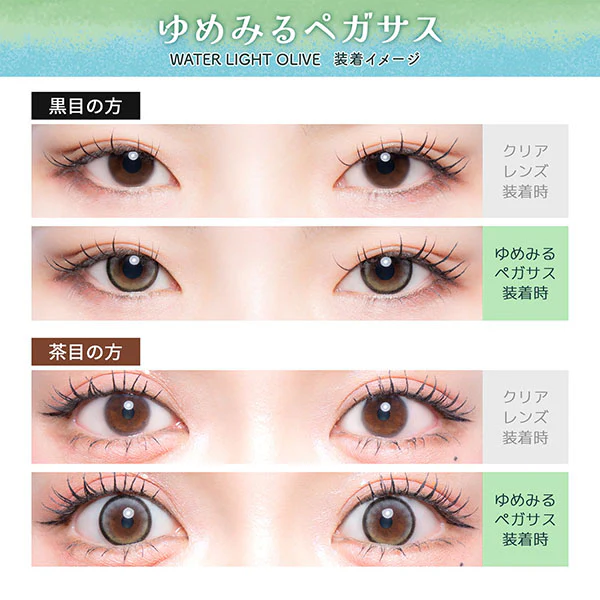 Flurry by Colors Contact Lenses Waterlight Olive - Image 4