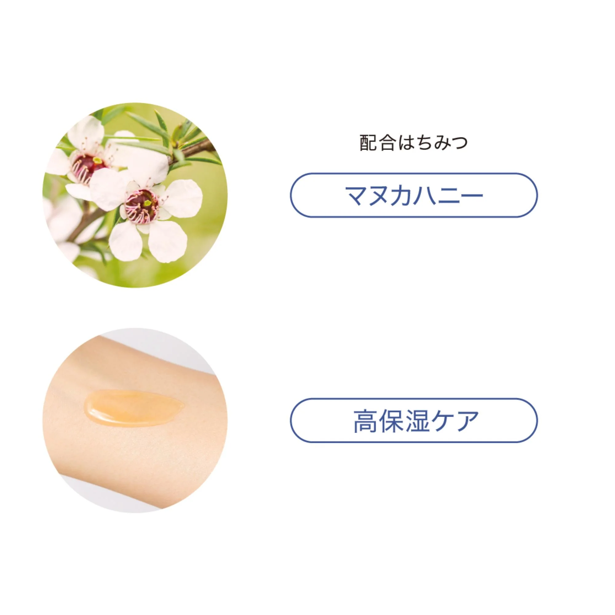 Hacci Moist Lip Essence BEE KISS Manuka - Image 4