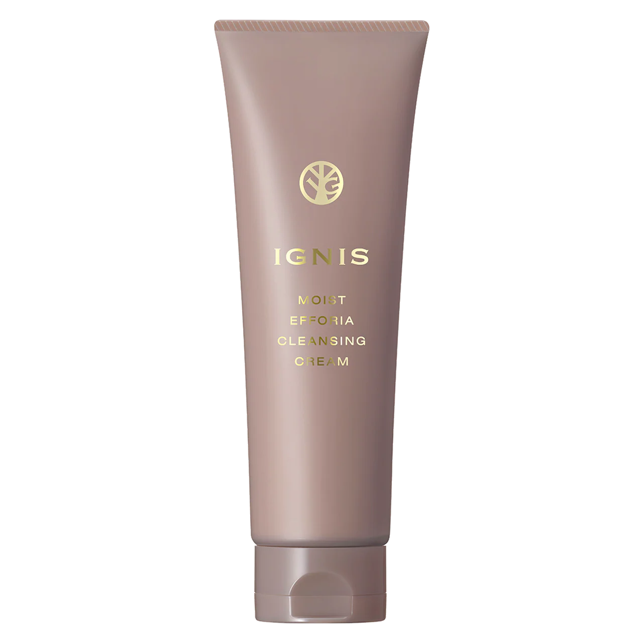 Igins Moist Fforia Cleansing Cream